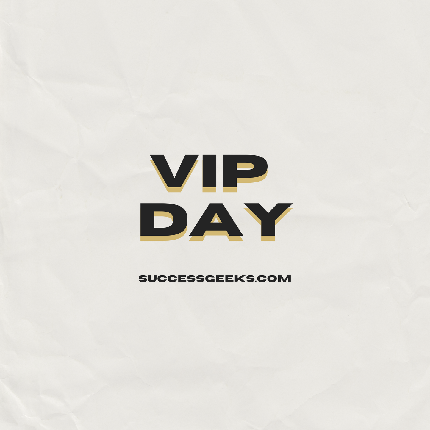 Success Geeks VIP Day Program